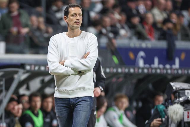 联系过他 联系过他